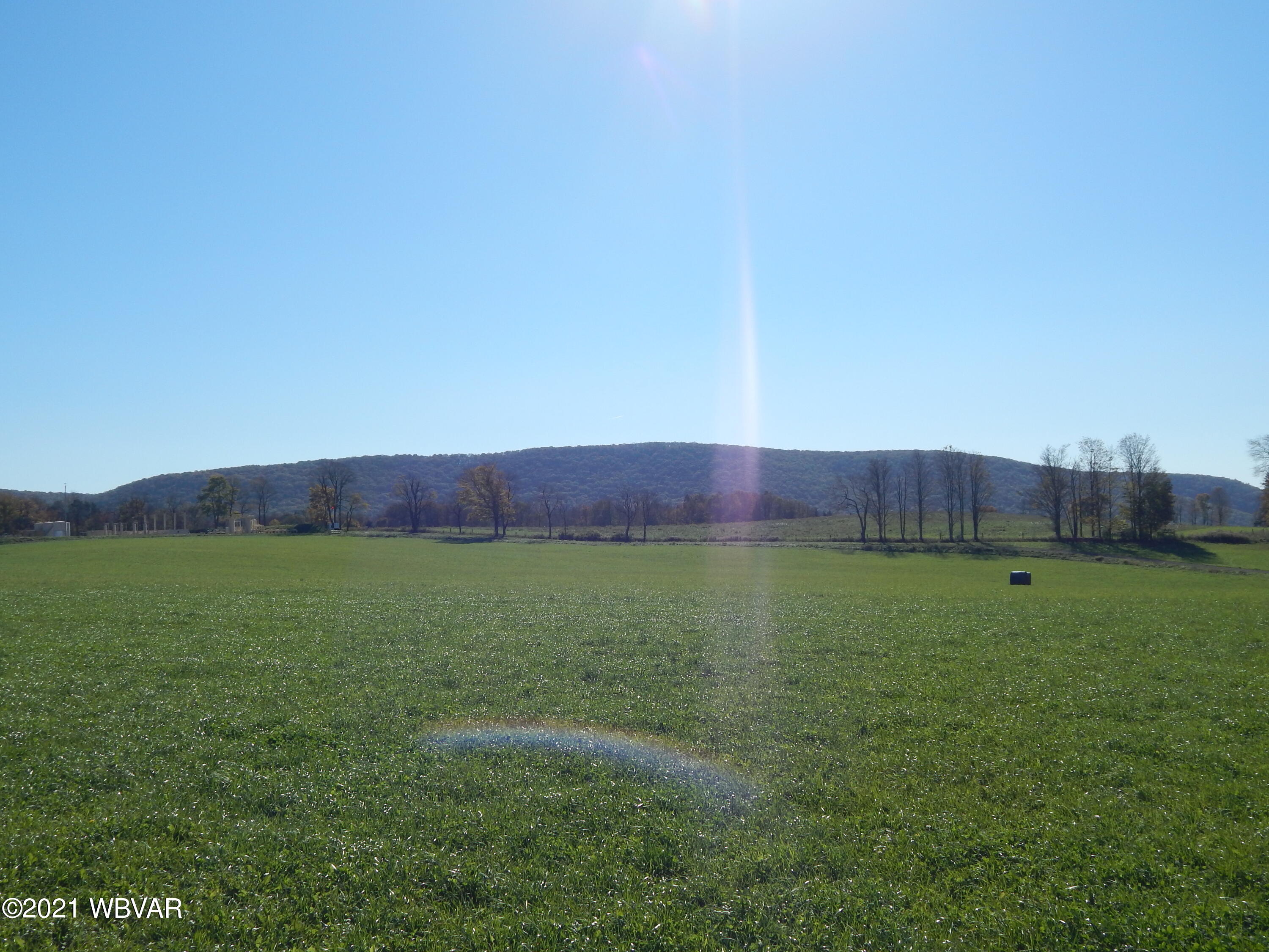 0 Cogan House Road, Unit LOT 1 Trout Run, PA 17771 - Photo 6 of 7 Gallery Image 6
