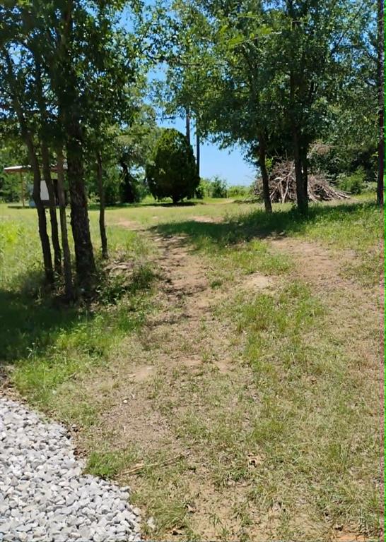 763 Frontier Street Bowie, TX 76230 - Photo 24 of 28 a view of a trees with a yard