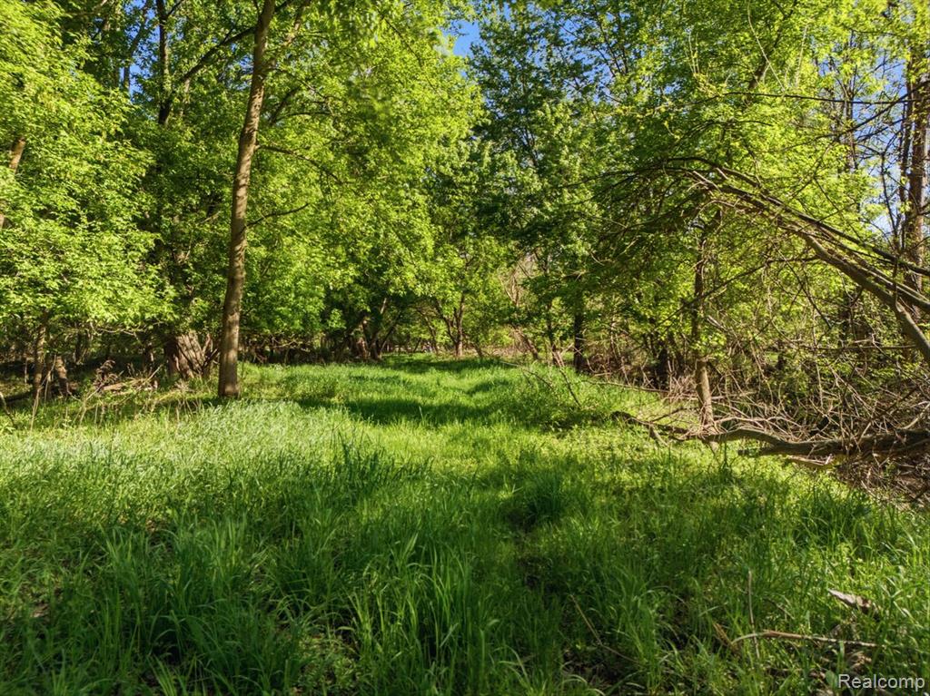 0 Layton Road Fowlerville, MI 48836 - Photo 10 of 14 Gallery Image 10