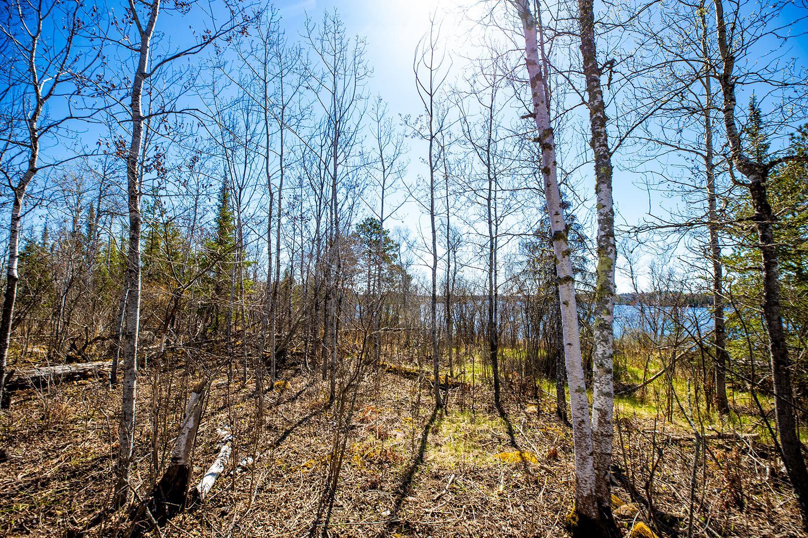 77 Tower Mn 55790 Tower, MN 55790 - Photo 11 of 16