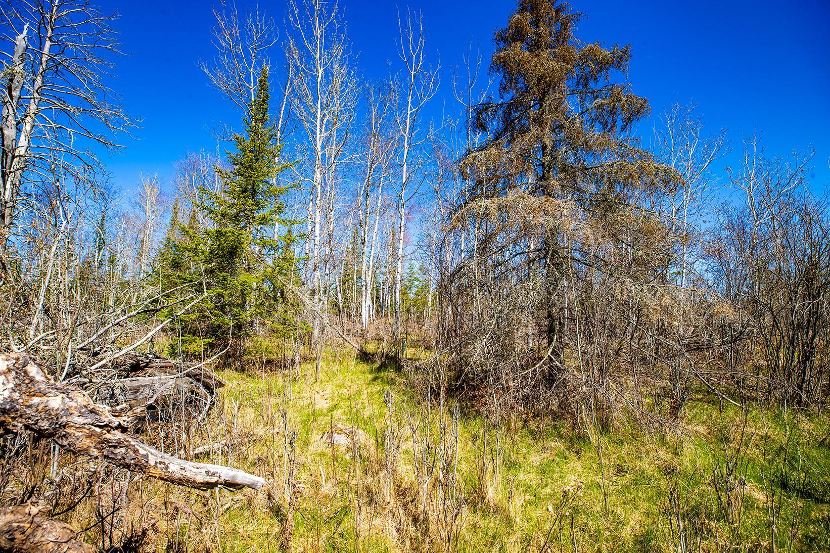 77 Tower Mn 55790 Tower, MN 55790 - Photo 7 of 16