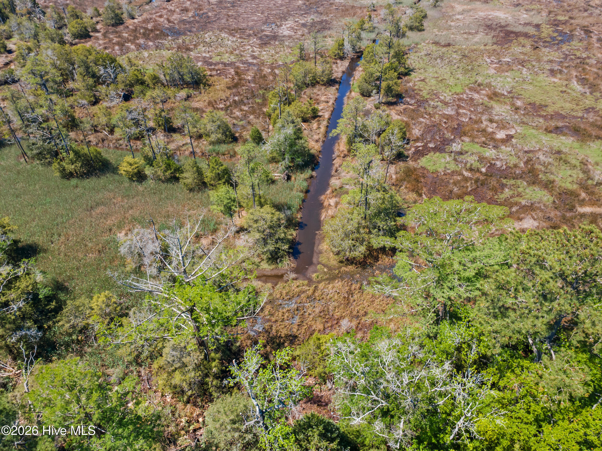 485 Florence Road Merritt, NC 28556 - Photo 12 of 19 485 Florence Road, Merritt, NC 28556