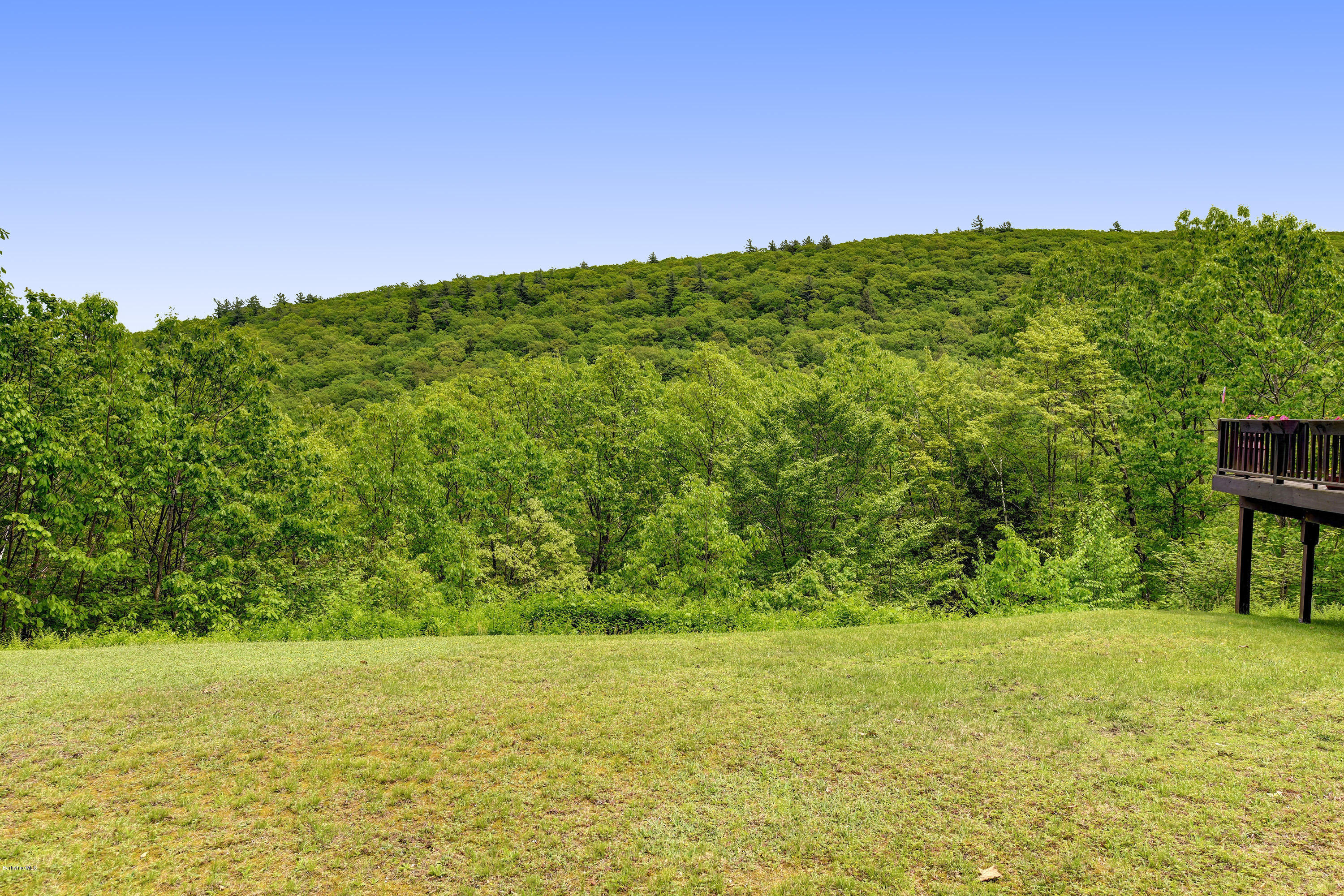 226 Mt Washington Road Egremont, MA 01230 - Photo 28 of 30 31-Back Yard View