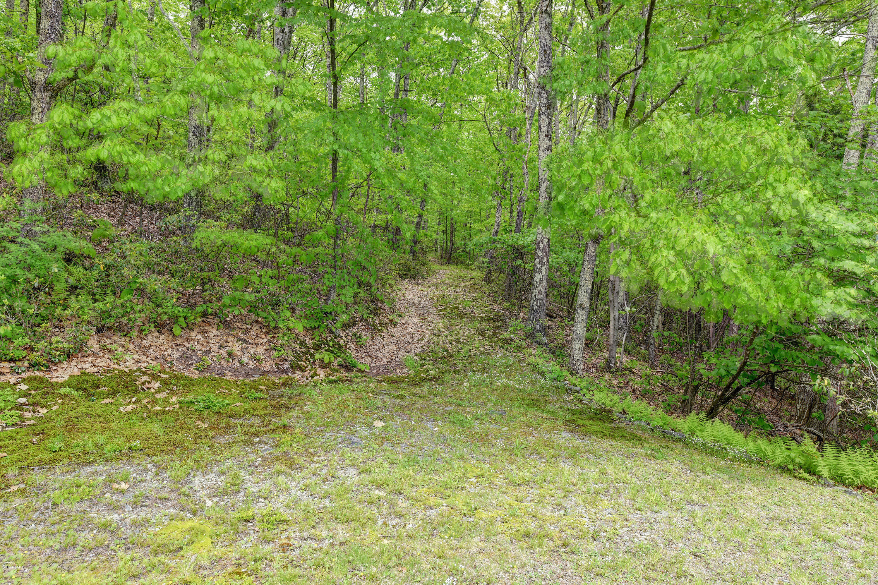 226 Mt Washington Road Egremont, MA 01230 - Photo 29 of 30 32-Trail