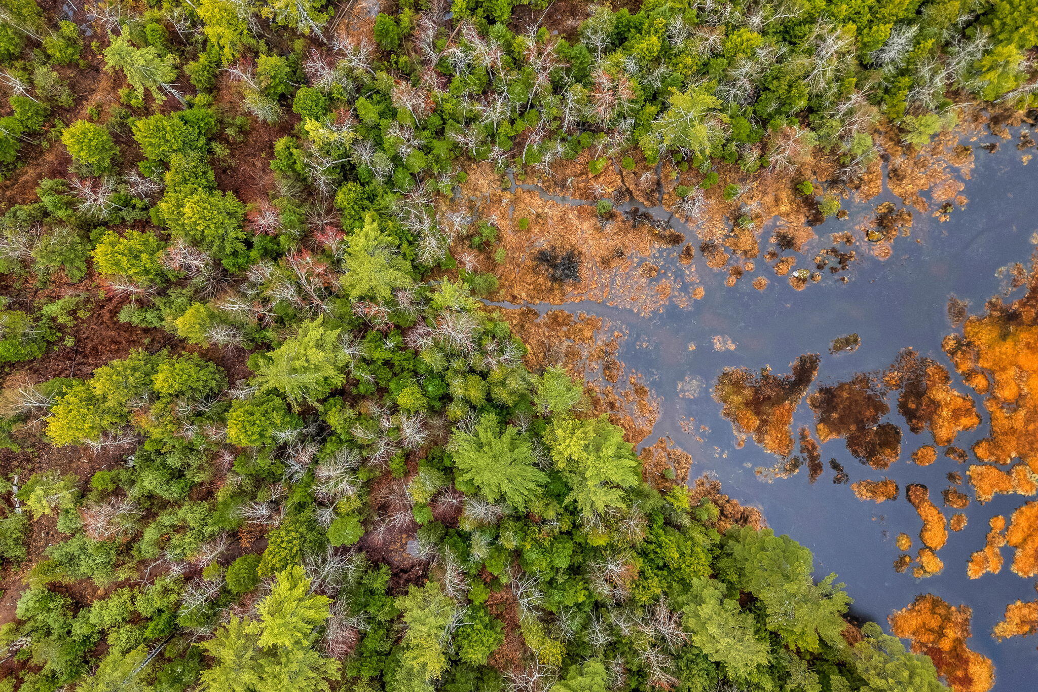 290 White Point Estates Road Lincoln, ME 04457 - Photo 50 of 53 67-web-or-mls-290-white-point-estates-ro