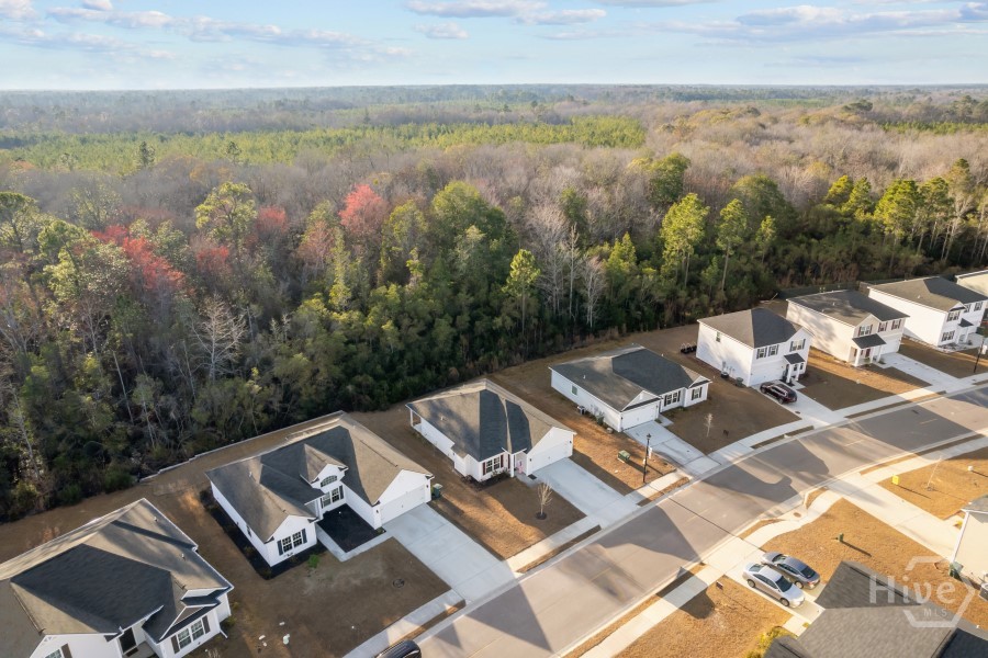 254 Brightleaf Circle Hinesville, GA 31313 - Photo 35 of 37