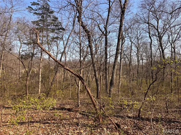 $739,900 | 29086 State Hwy AA, Wright City, MO 63390