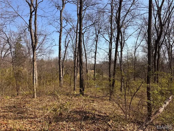 $739,900 | 29086 State Hwy AA, Wright City, MO 63390