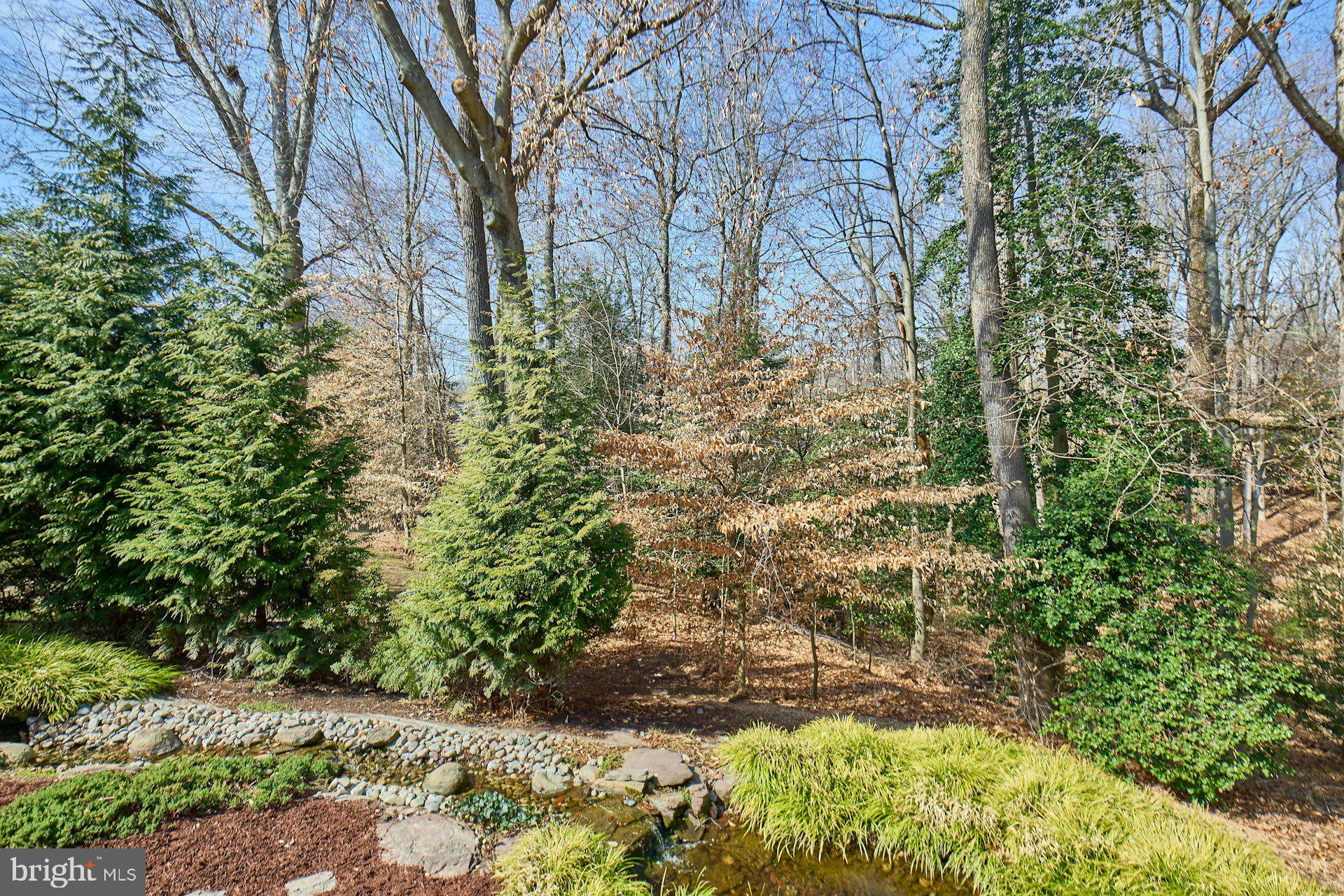 6051 Adams Drive La Plata, MD 20646 - Photo 62 of 72 a view of a yard with plants and trees