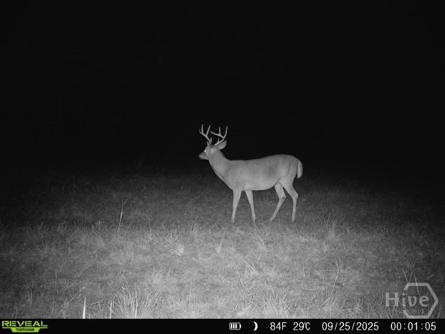 0 Tillman Eason Road Claxton, GA 30417 - Photo 26 of 28