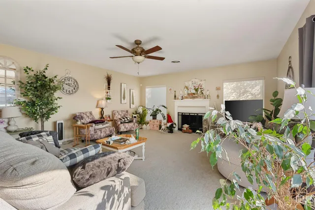 a living room with furniture a fireplace and a potted plant