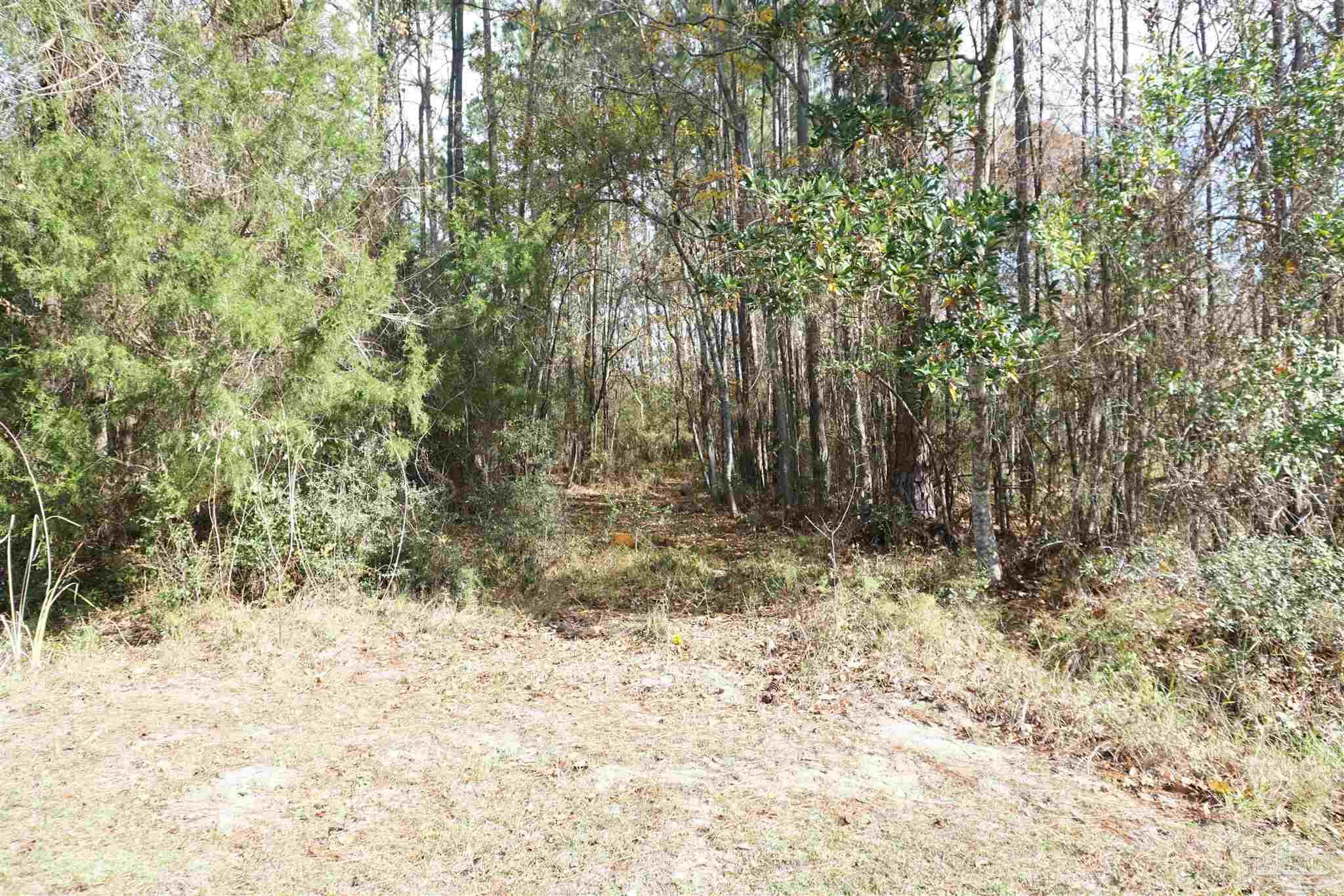 396 Riola Place Pensacola, FL 32506 - Photo 1 of 5 Gallery Image 1