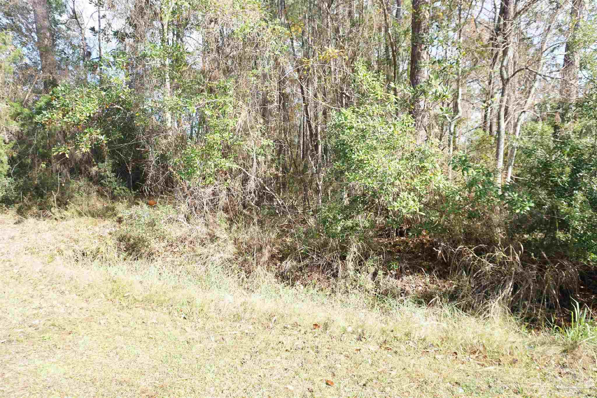396 Riola Place Pensacola, FL 32506 - Photo 2 of 5 Gallery Image 2