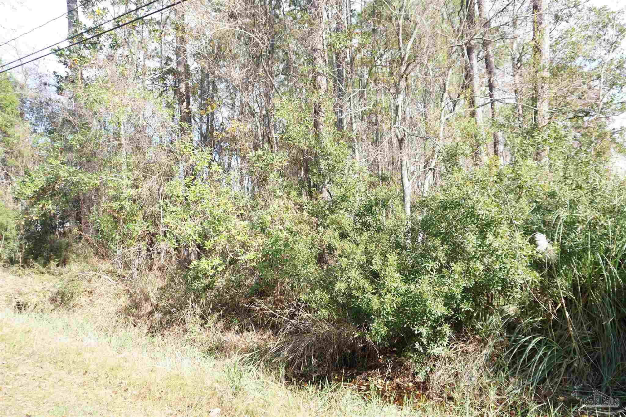 396 Riola Place Pensacola, FL 32506 - Photo 3 of 5 Gallery Image 3