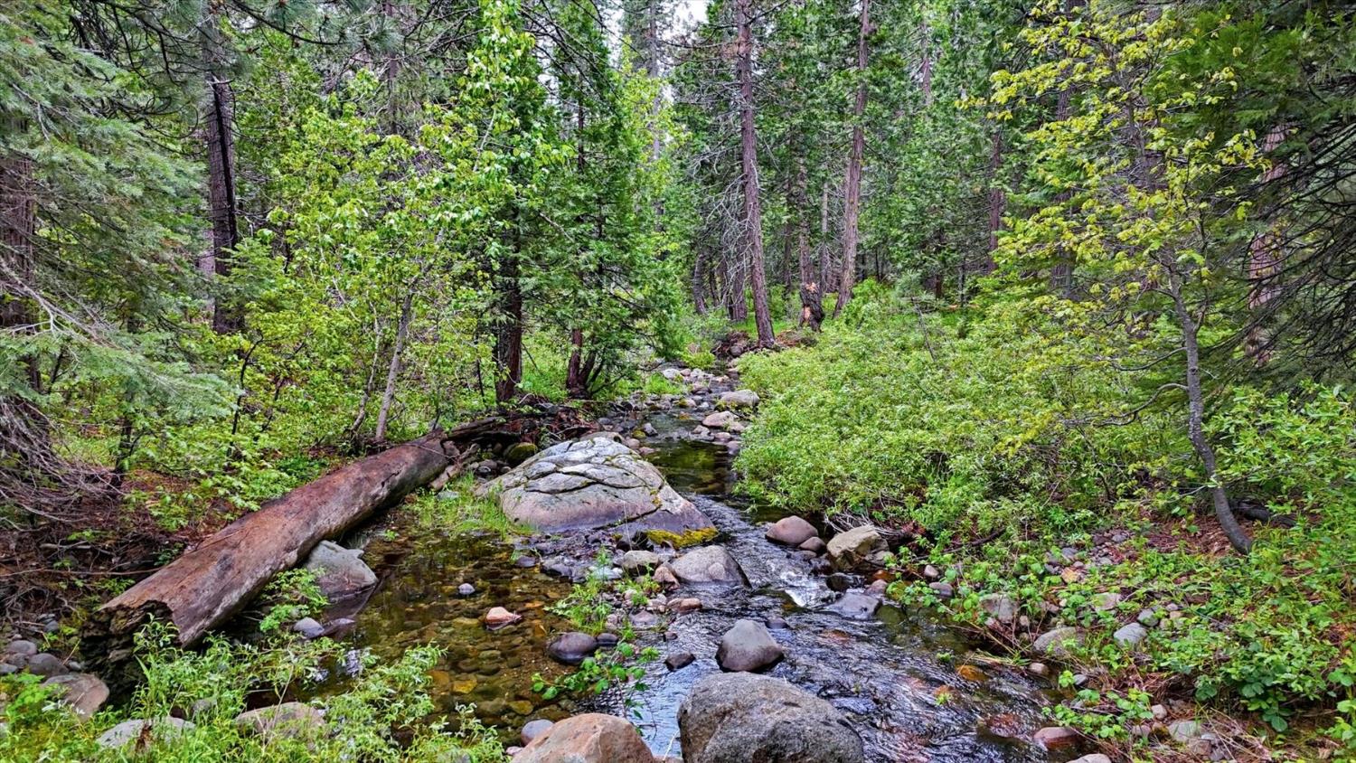 0 Texas Hill Road Emigrant Gap, CA 95715 - Photo 5 of 24