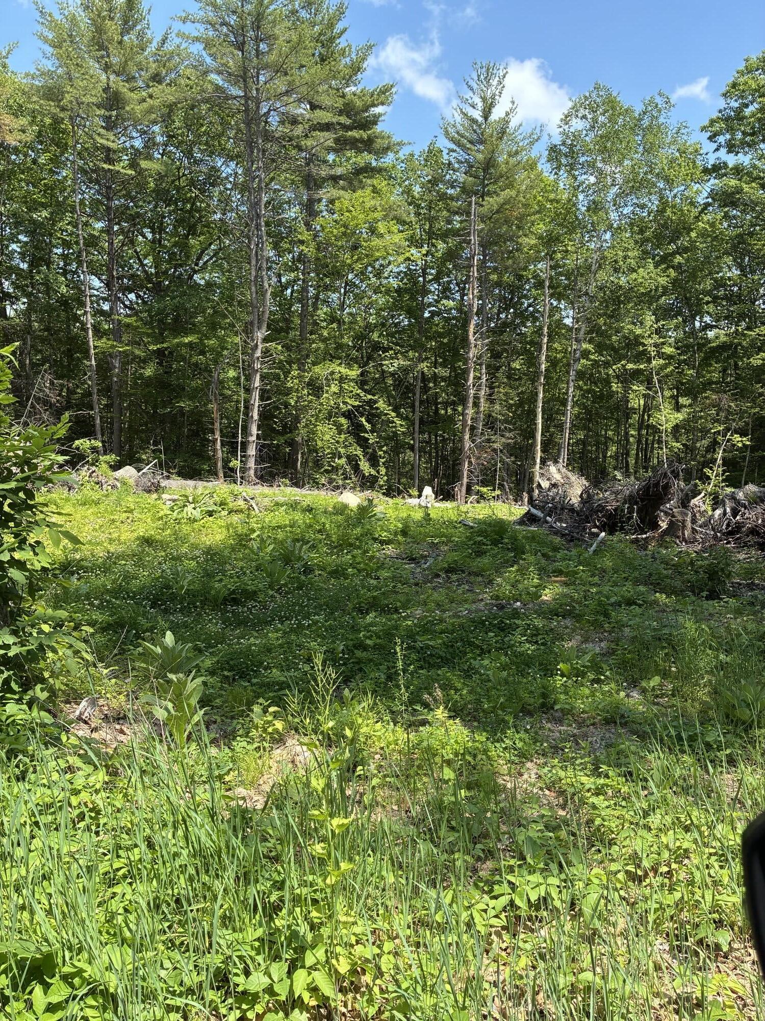 Map7-lot40 Round-The-Pond Road Norway, ME 04268 - Photo 3 of 6 IMG_2071