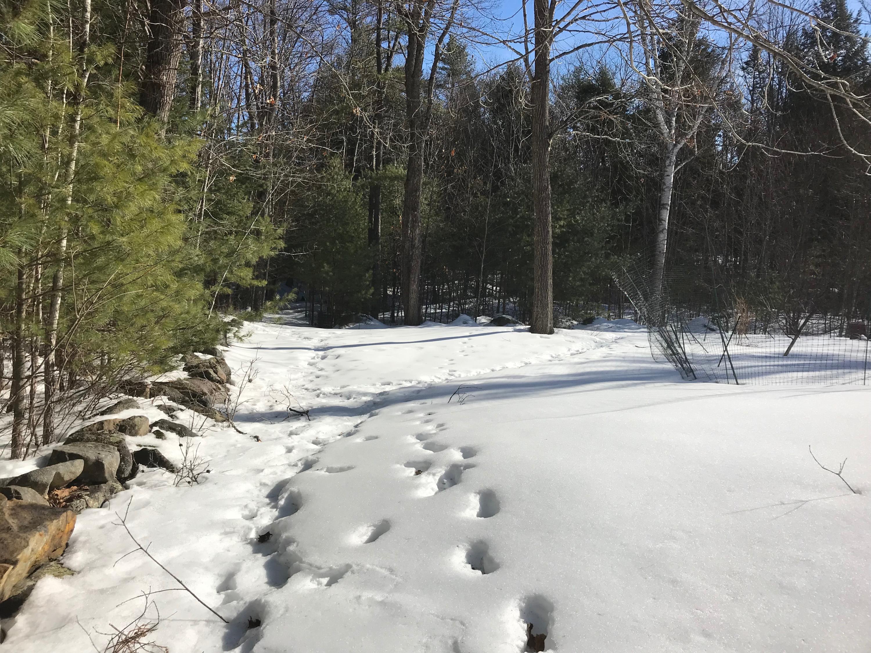 45 Durgintown Road Hiram, ME 04041 - Photo 10 of 39 IMG_8334