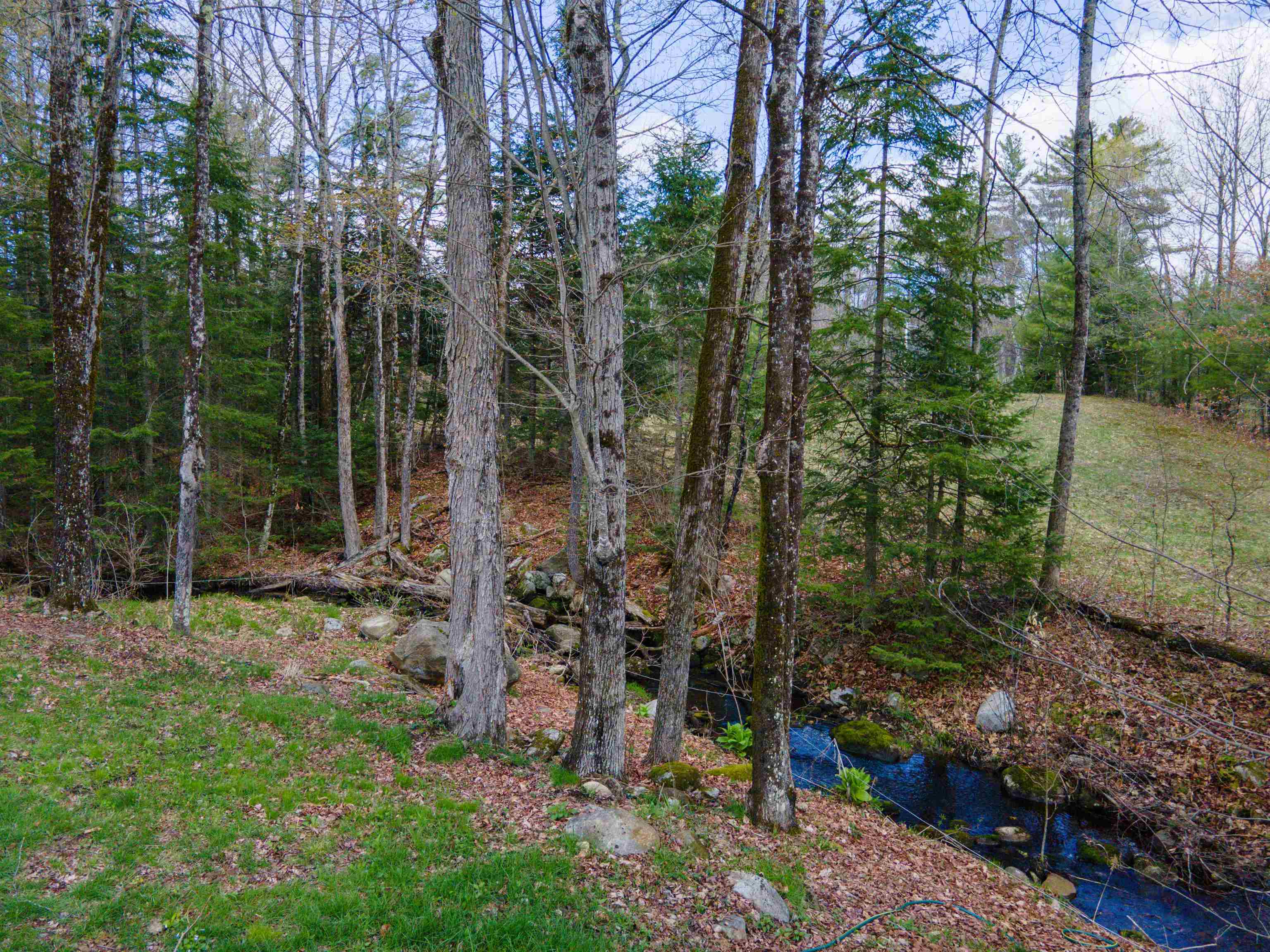 193 Croydon Tpke Road Croydon, NH 03773 - Photo 6 of 38 Gallery Image 6