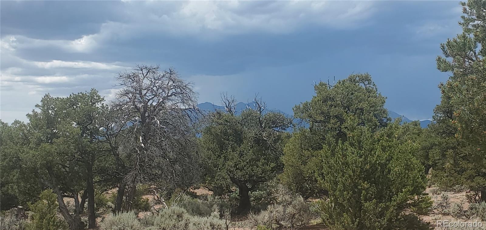 Lot3696 Branch Road Fort Garland, CO 81133 - Photo 10 of 20 Gallery Image 10