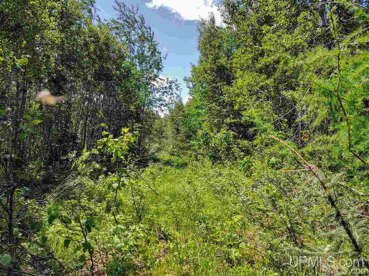 Tbd Co Rd Fp Republic, MI 49879 - Photo 33 of 33