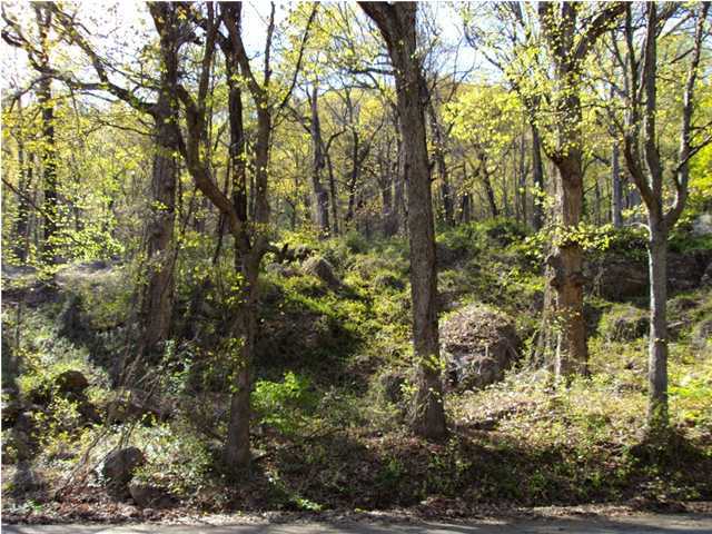 3949 Rd Signal Mountain Signal Mountain, TN 37377 - Photo 3 of 4 Additional Photo