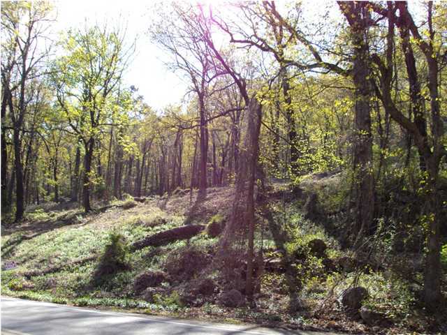 3949 Rd Signal Mountain Signal Mountain, TN 37377 - Photo 4 of 4 Additional Photo