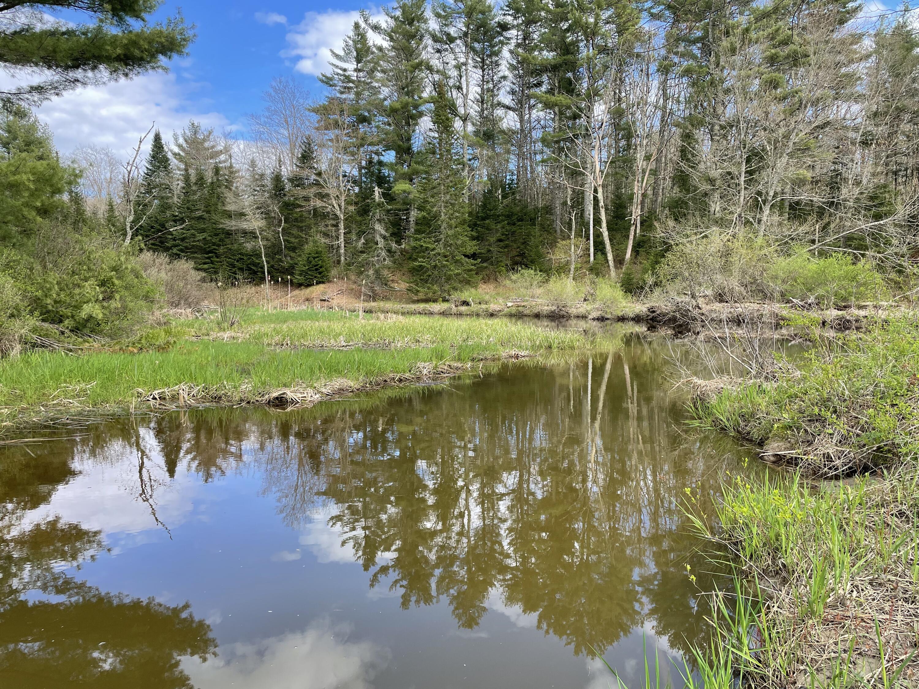 135 Washington Road Jefferson, ME 04348 - Photo 32 of 42 01CA8990-F4E4-4AB0-B1A1-BFD2502A1B3F
