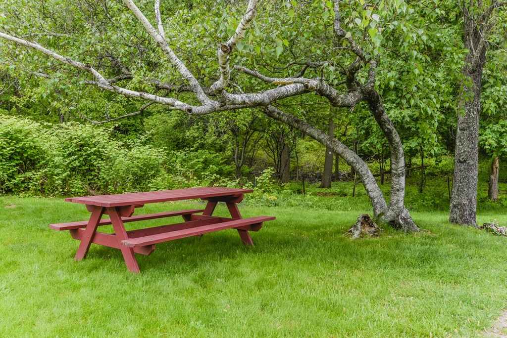 36 Clough Road, Unit 36 Dedham, MA 02026 - Photo 16 of 19 a wooden bench sitting in the grass near a tree