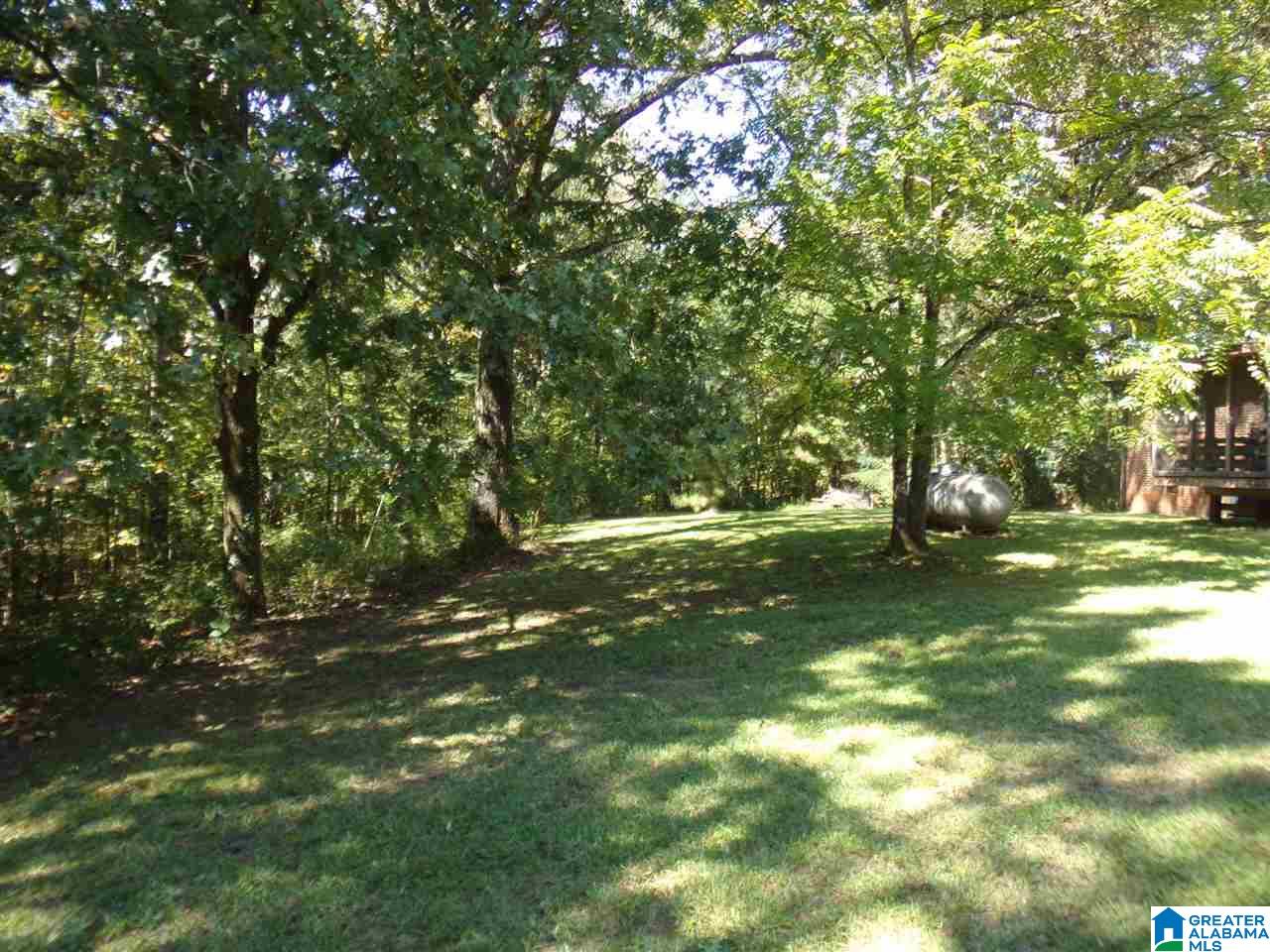 21353 Washington Drive Vance, AL 35490 - Photo 10 of 48