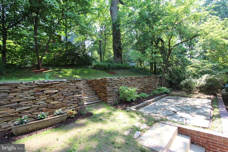 104 Parkside Road Silver Spring, MD 20910 - Photo 3 of 13 a view of a yard with large trees
