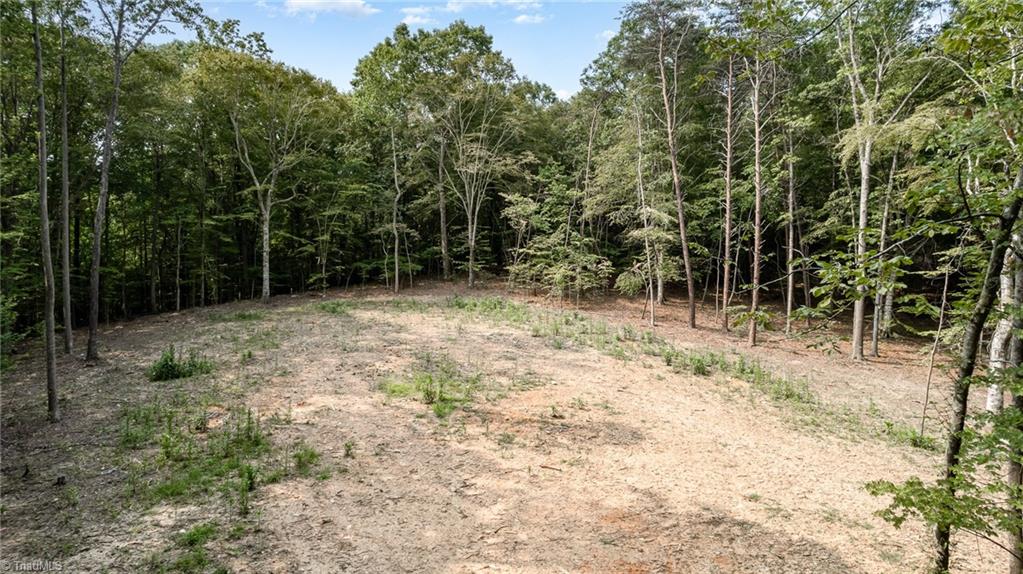 0 Low Bridge Road Franklinville, NC 27248 - Photo 6 of 13