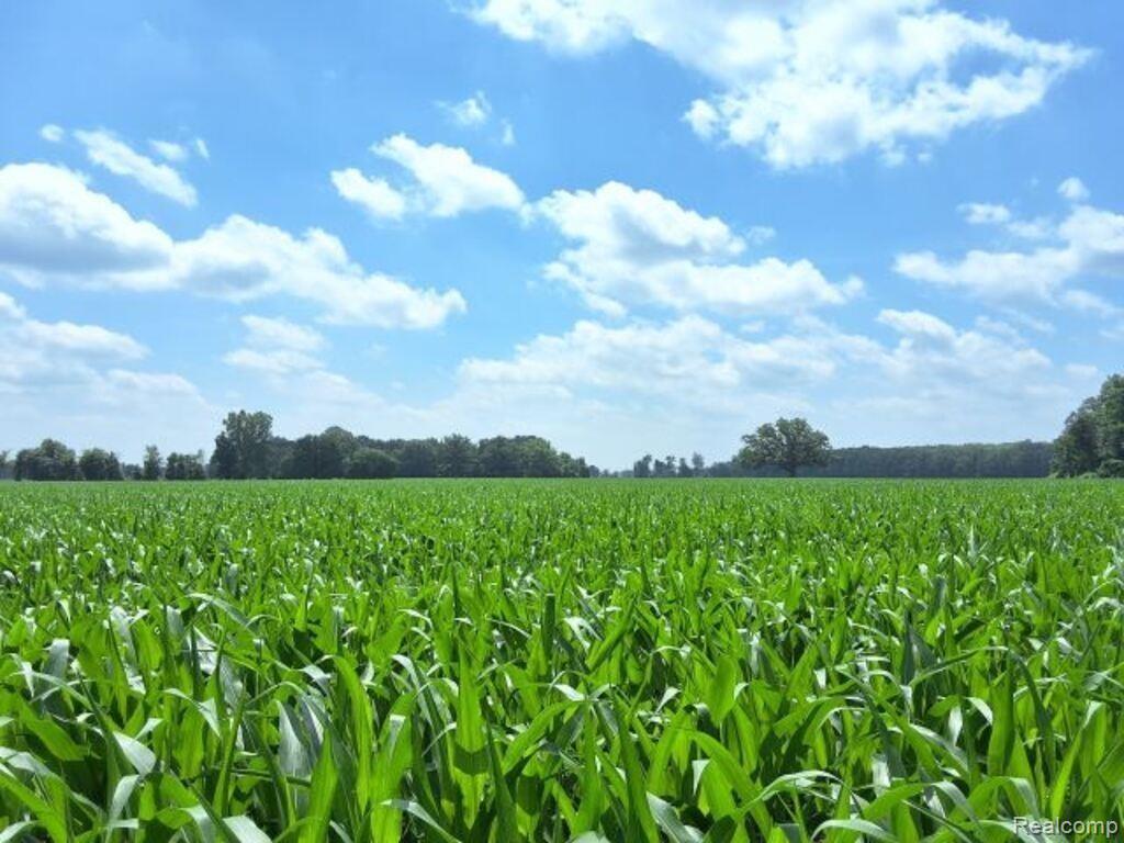Auction Lot# 7 Auction Road Allenton, MI 48002 - Photo 2 of 4