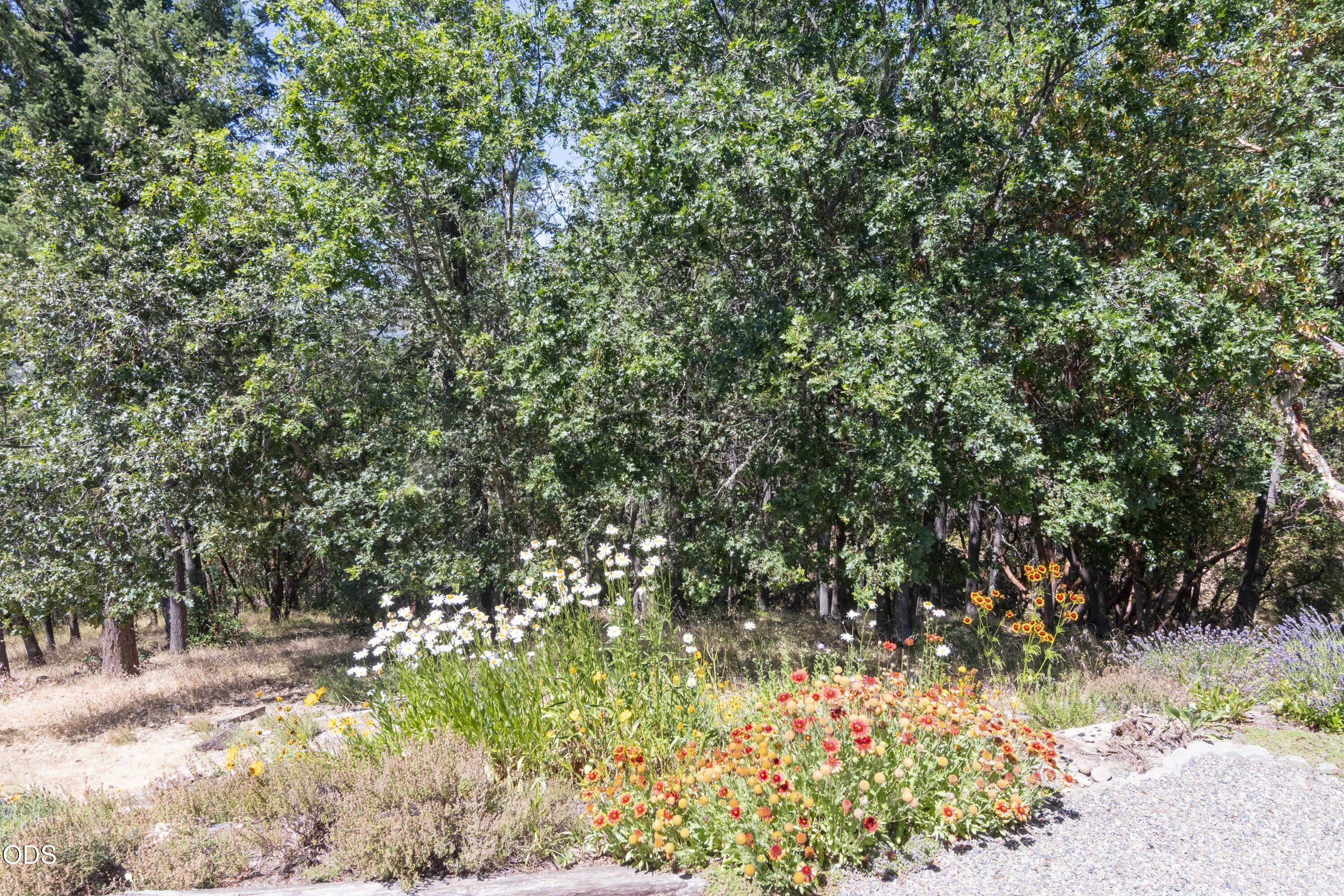 712 Colleen Court Grants Pass, OR 97527 - Photo 47 of 67