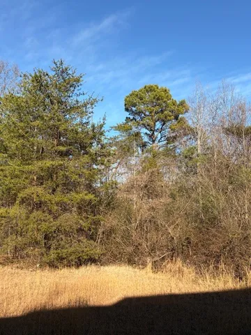 $600,000 | 124 Old Highway 96, Burns, TN 37029