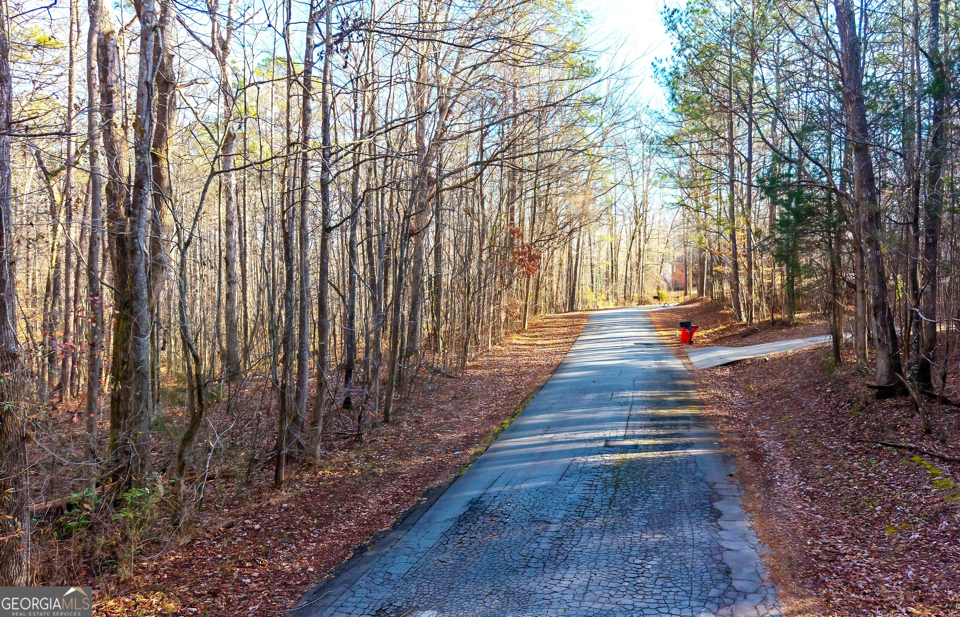 195 Cedar Road Covington, GA 30016 - Photo 3 of 5