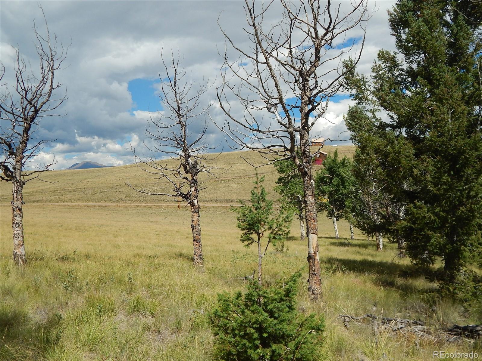 230 Tapedero Road Hartsel, CO 80449 - Photo 16 of 24 a view of lake