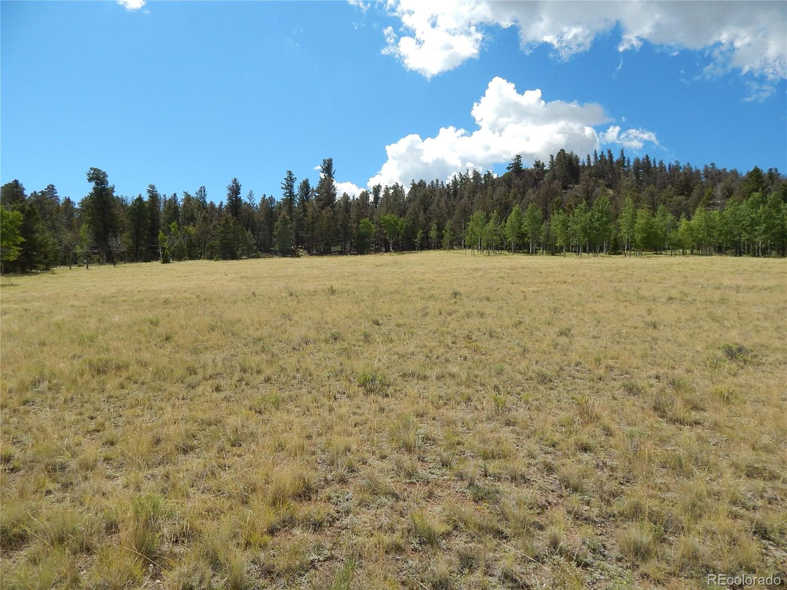 230 Tapedero Road Hartsel, CO 80449 - Photo 24 of 24 a view of a yard
