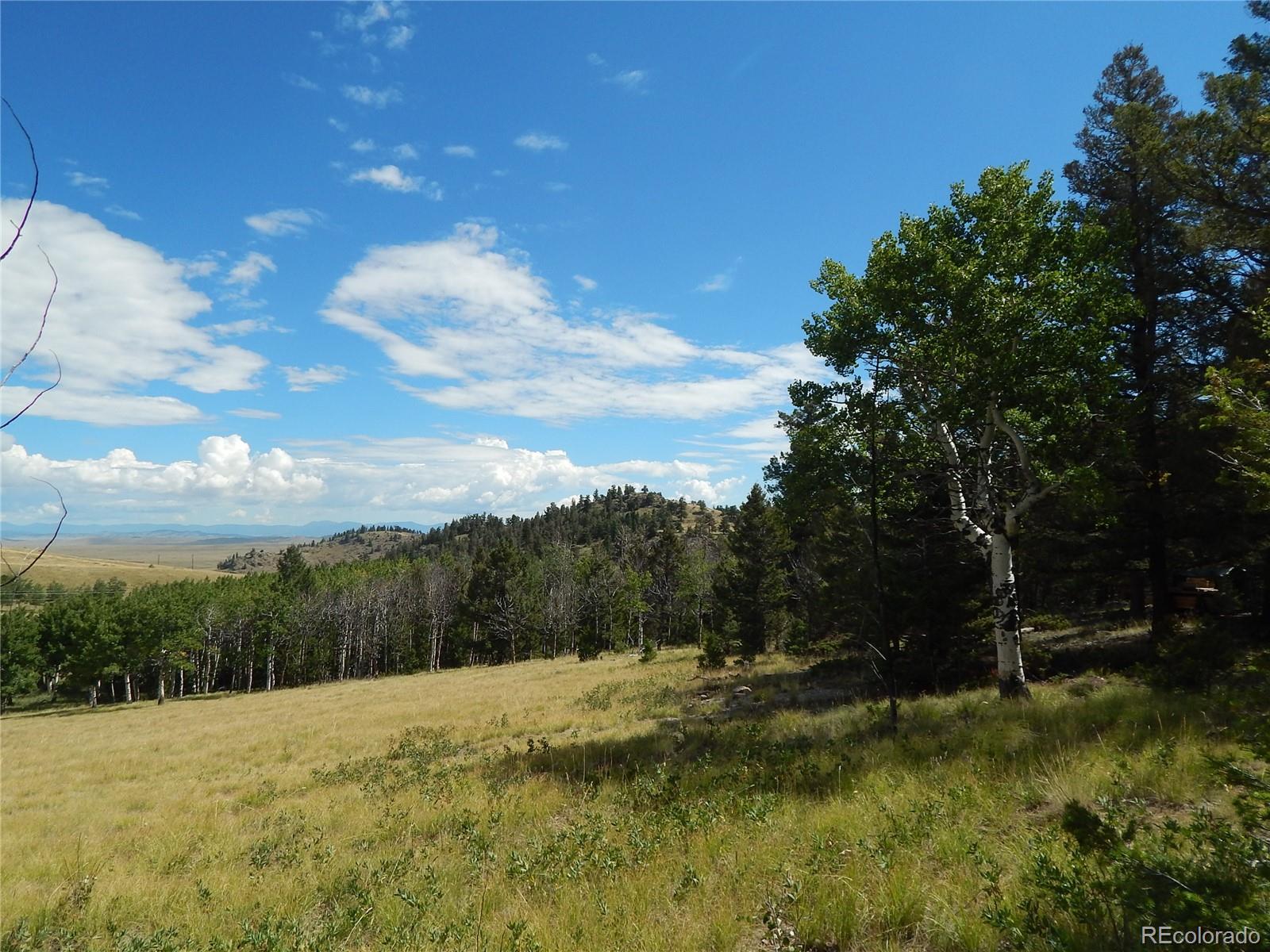 230 Tapedero Road Hartsel, CO 80449 - Photo 3 of 24 a view of an outdoor space and a yard