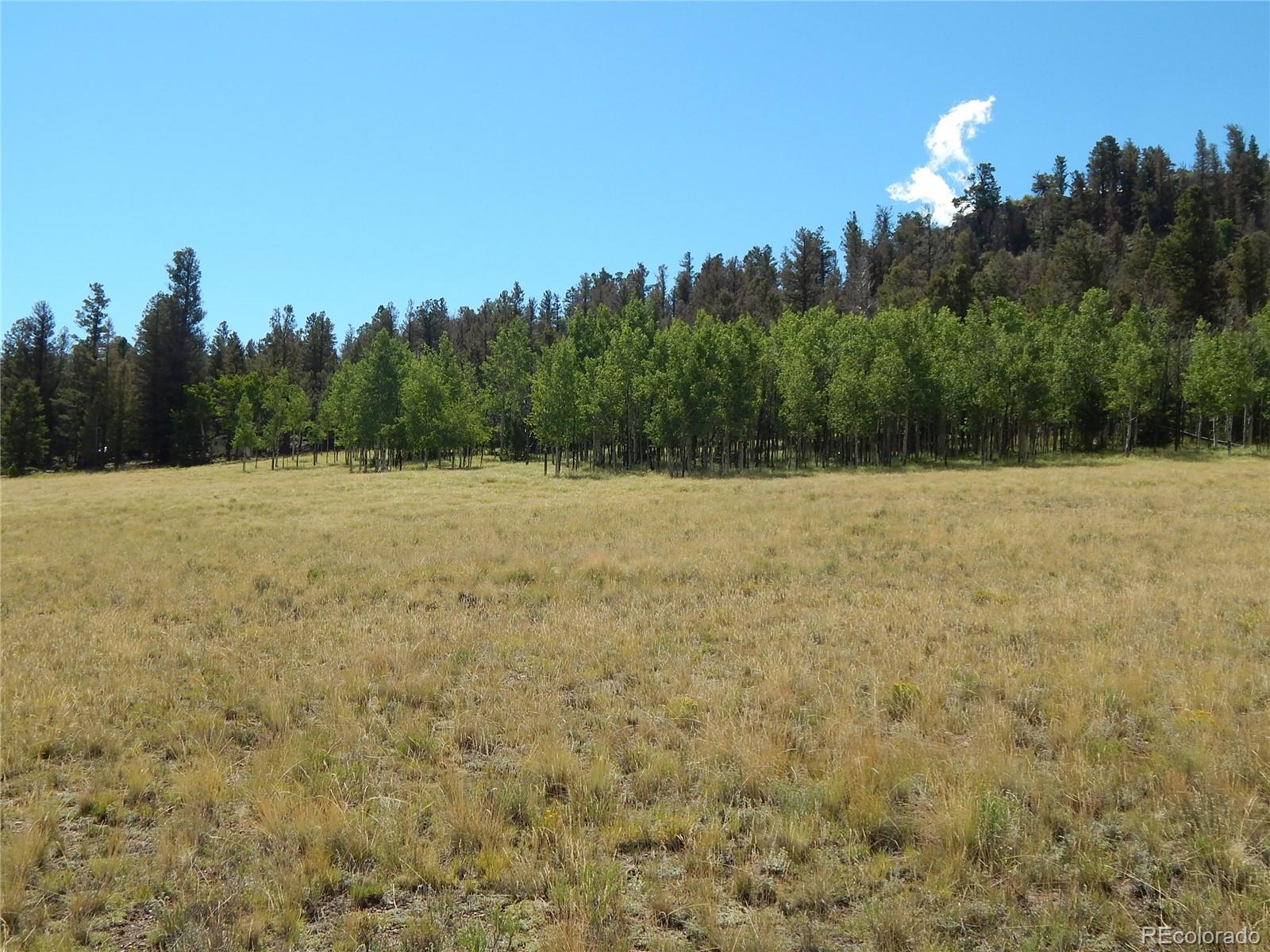 230 Tapedero Road Hartsel, CO 80449 - Photo 6 of 24 a view of basketball court