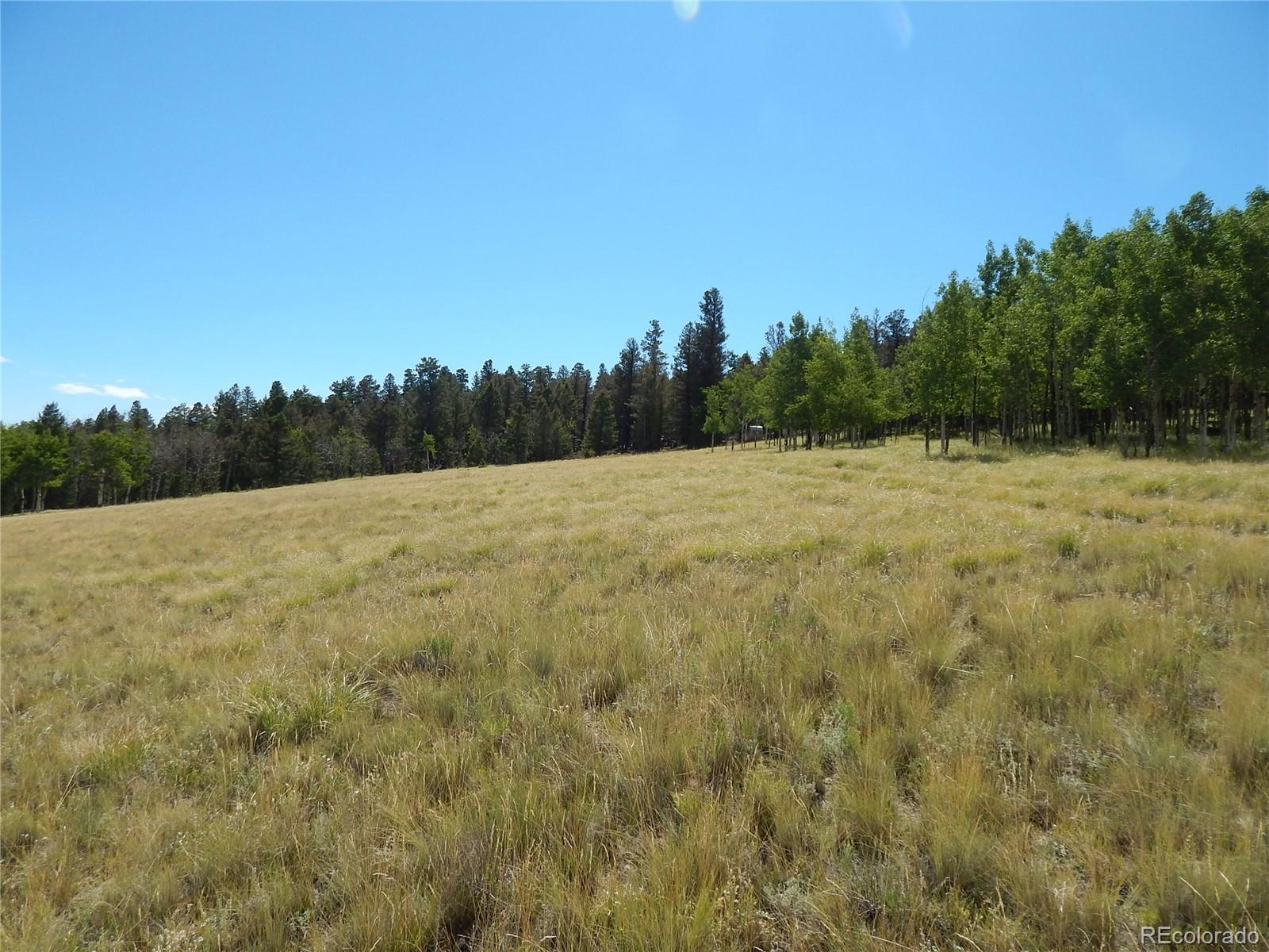 230 Tapedero Road Hartsel, CO 80449 - Photo 8 of 24 a view of an outdoor space and a yard