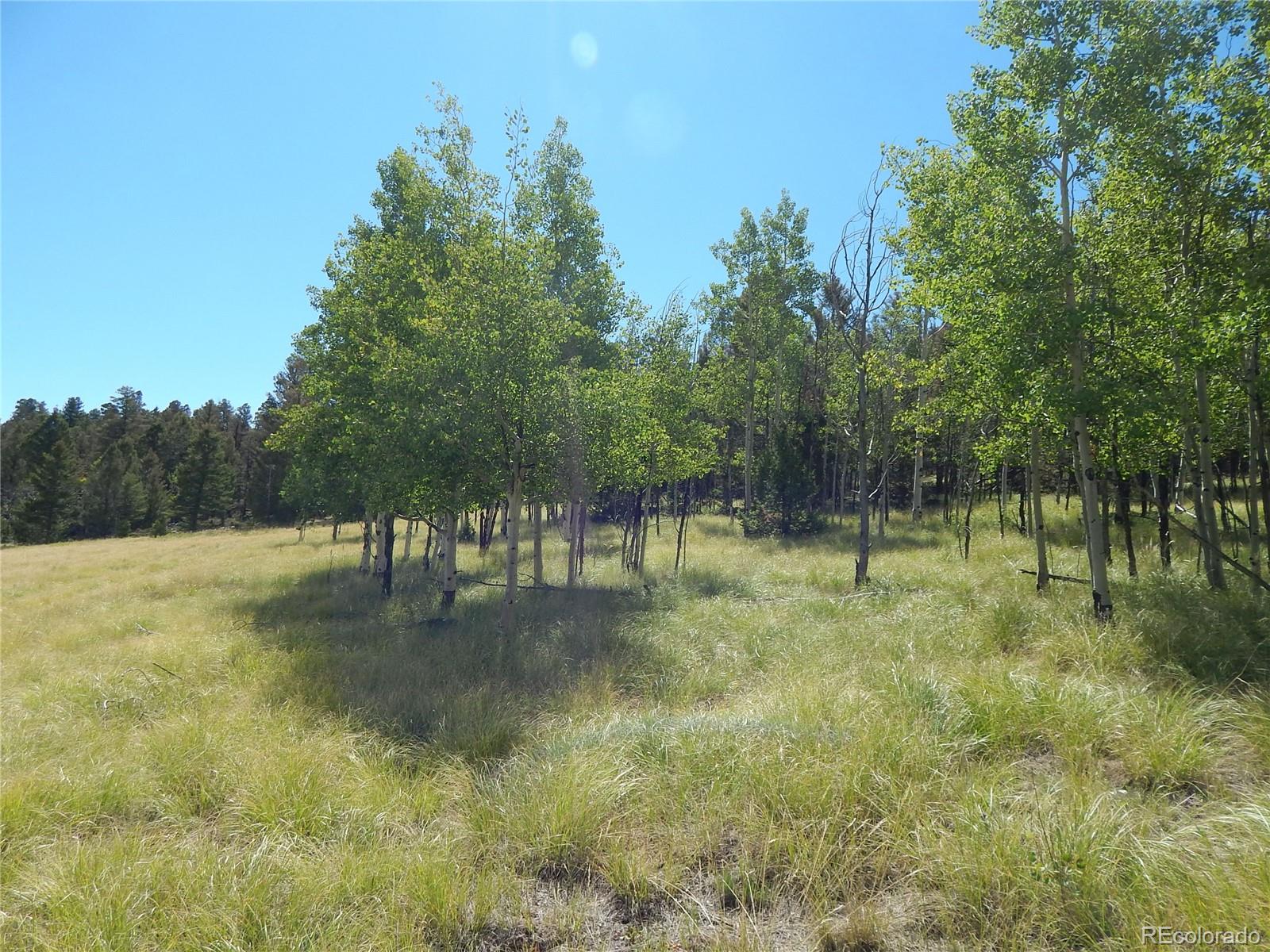 230 Tapedero Road Hartsel, CO 80449 - Photo 9 of 24 a view of outdoor space and yard