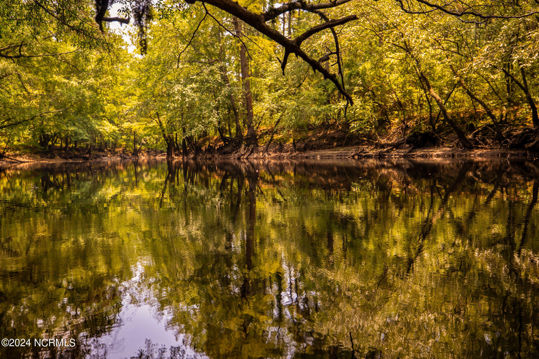 400 B T Road Lumberton, NC 28358 - Photo 67 of 74 Lumber River