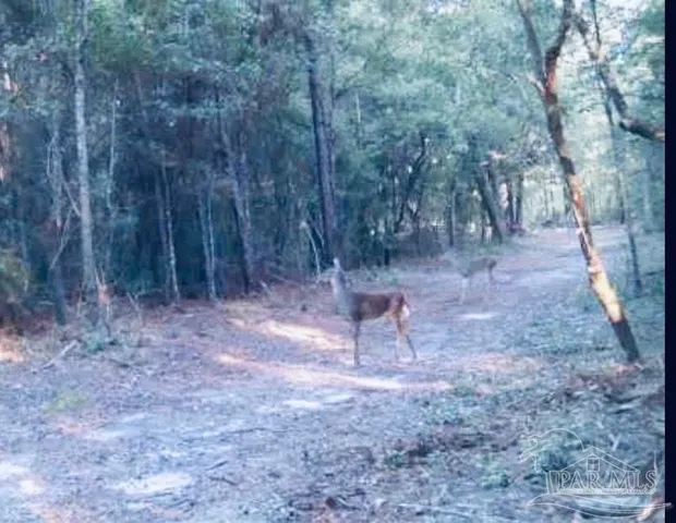 $225,000 | 9499 Cornfield Way, Milton, FL 32583