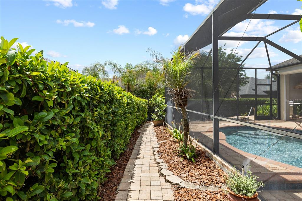 5212 Rosefinch Place Lithia, FL 33547 - Photo 49 of 75