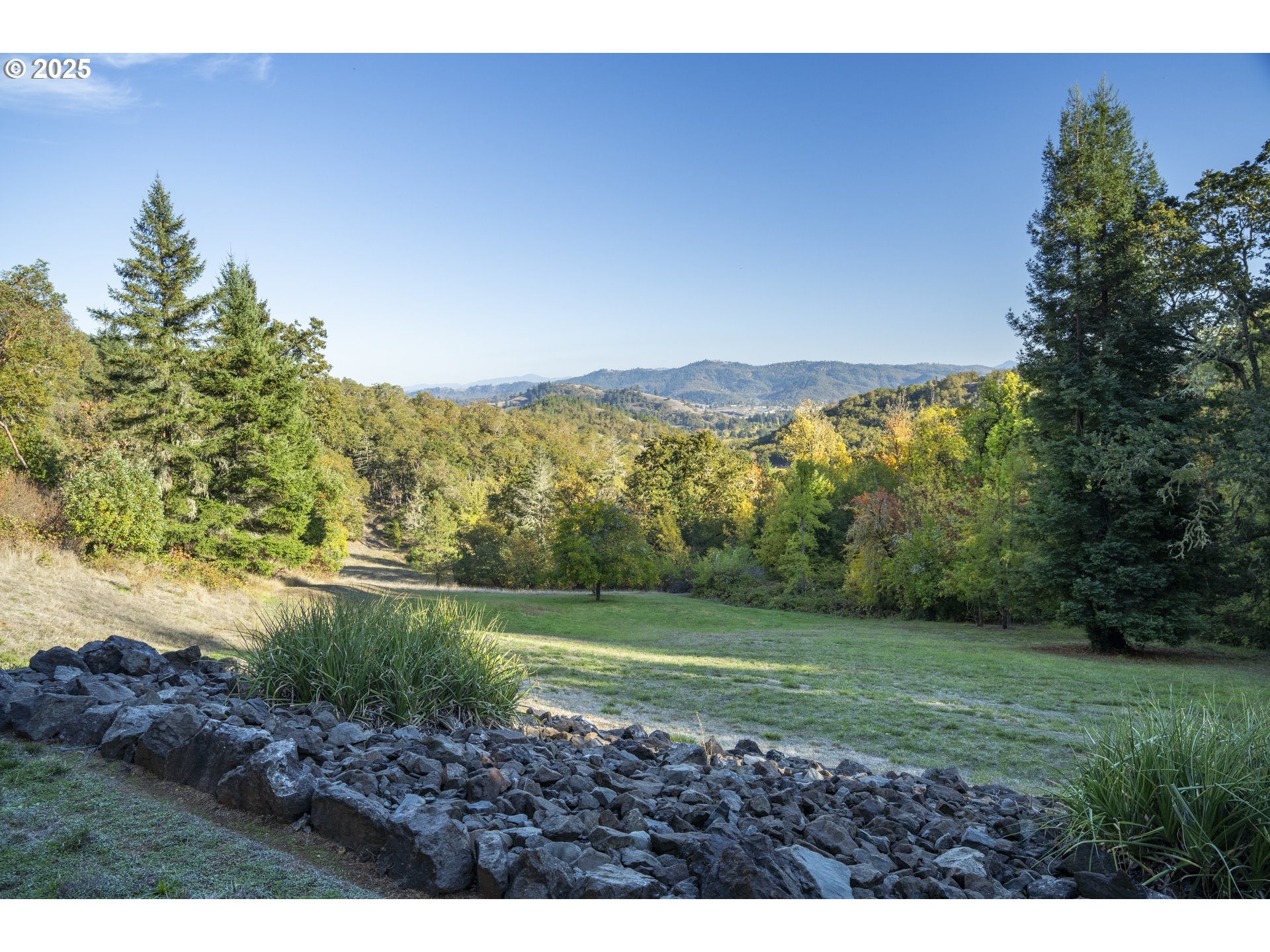1645 Brozio Road Roseburg, OR 97471 - Photo 33 of 48 a view of a grassy field with trees in the background