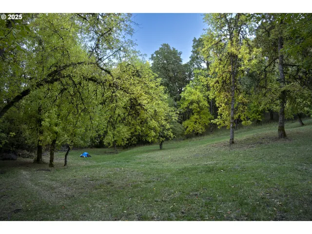 a view of a bench in the backyard