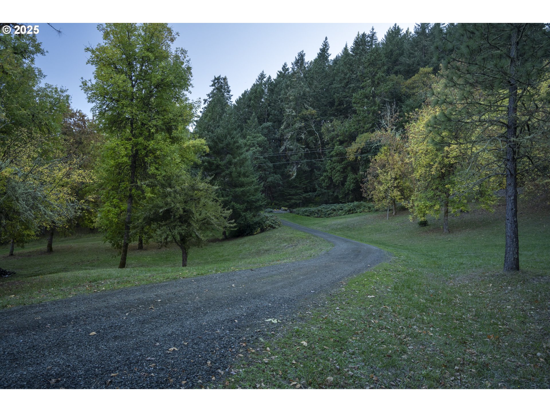 1645 Brozio Road Roseburg, OR 97471 - Photo 36 of 48 a view of a park with large trees
