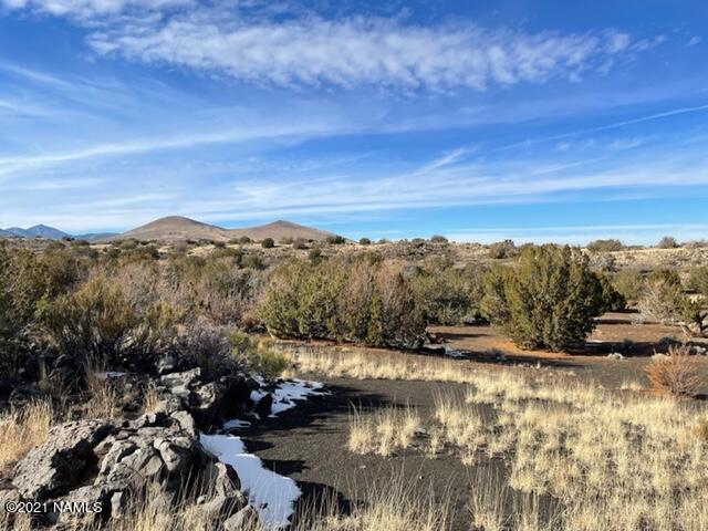 69 Alpine Ranch Flagstaff, AZ 86004 - Photo 3 of 12 IMG_4883