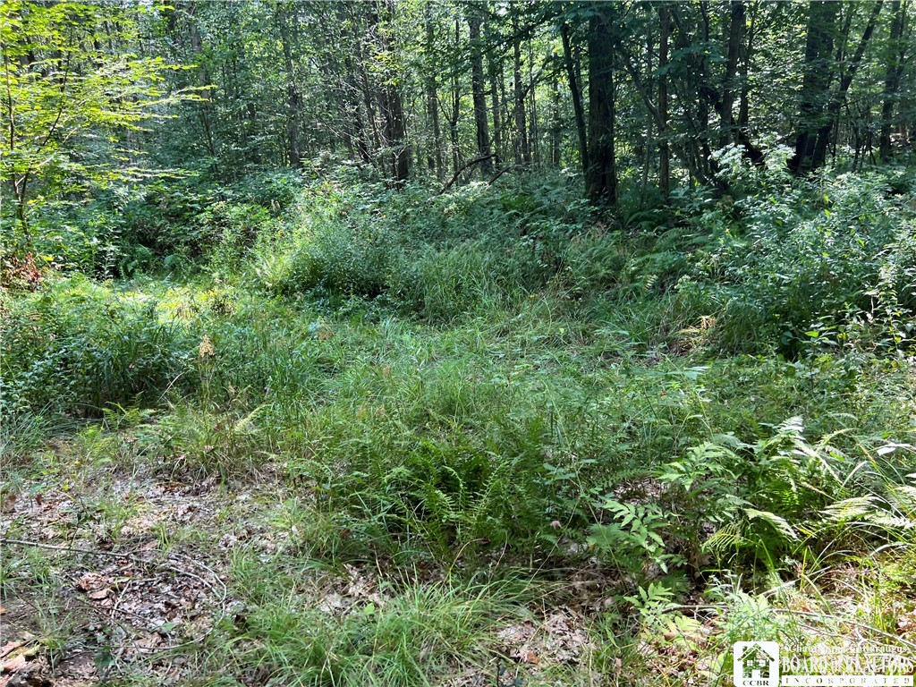 Mead Road North Jamestown, NY 14701 - Photo 25 of 42 Gallery Image 25