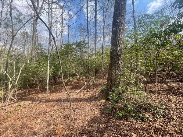 $29,900 | 471 North Dellwood Road, Mountain Rest, SC 29664
